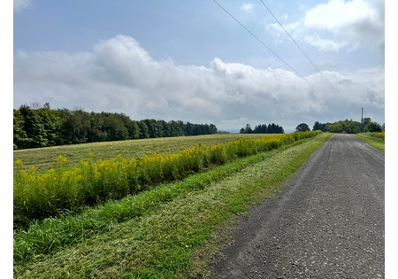 Land for sale Finger Lake area NY