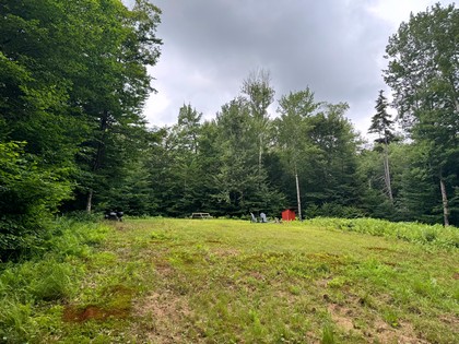 Tug Hill NY land for sale