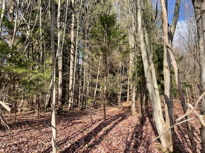 NY land for sale