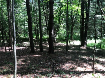 NY land for sale in Greene, NY