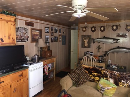 NY cabin for sale southern tier, NY