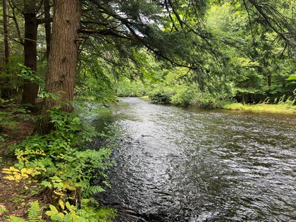 NY waterfront land for sale, land and camps, ny waterfront properties, ny lakefront land, christmas associates