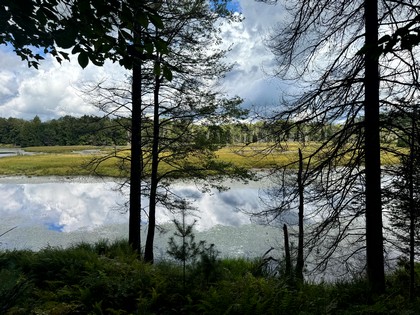 Adirondack riverfront land for sale
