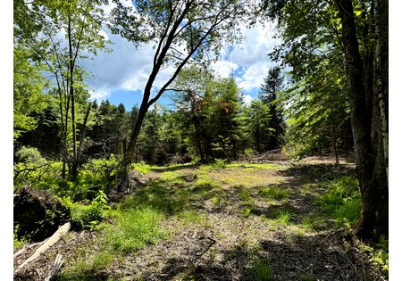 NY land for sale
