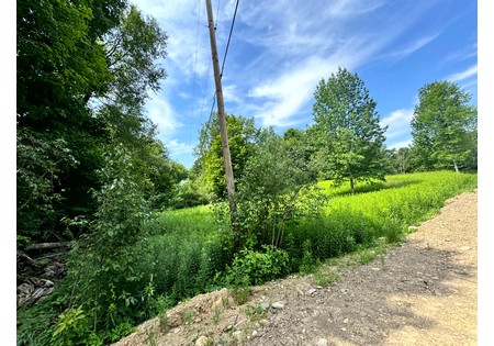 Salmon River NY land for sale