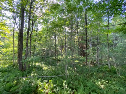 NY hunting land for sale McDonough NY