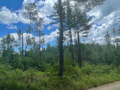 NY Adirondack hunting land for sale