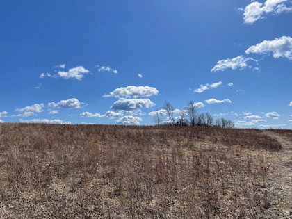 NY hunting land for sale - southern tier