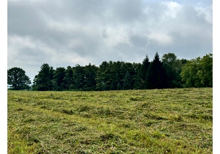 Finger Lakes NY area land for sale