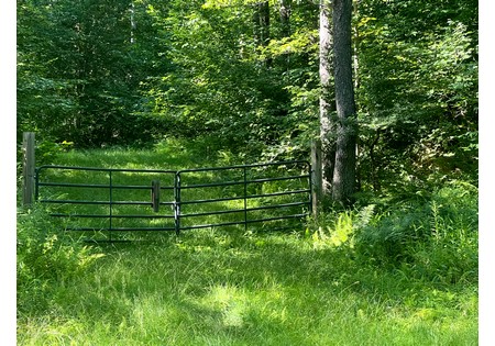 Tug Hill NY land for sale