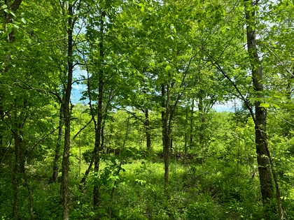 NY waterfront land for sale