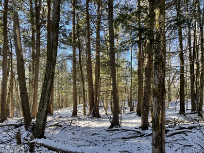 NY hunting land for sale