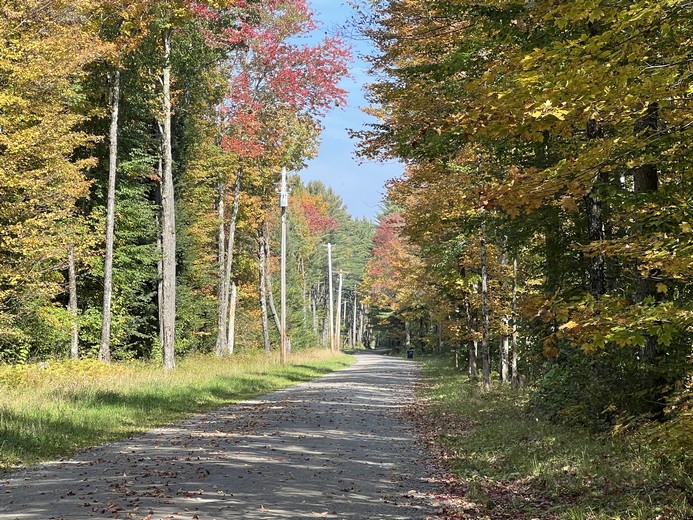 Adirondack NY land for sale