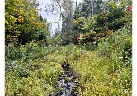 NY land for sale