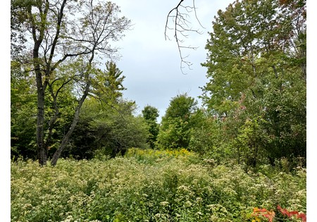 NY hunting land