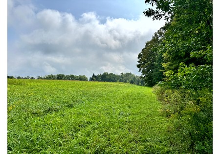 Finger Lakes area NY land for sale