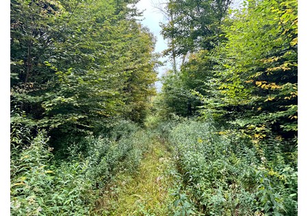 Tug Hill NY land for sale