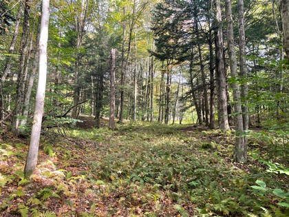 NY property for sale near Oneida Lake