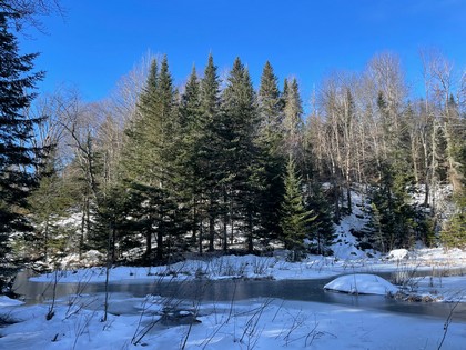 Adirondack land for sale