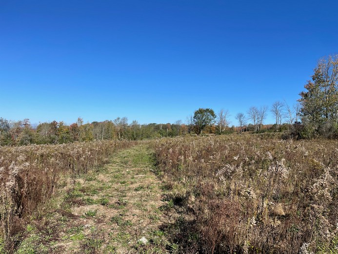 Hunting Land For Sale Southern Tier Ny