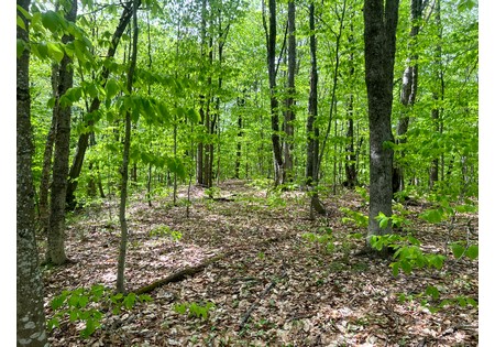 Land for sale NY