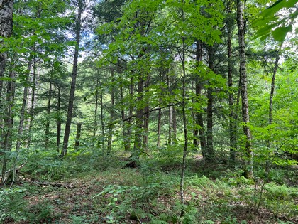 NY waterfront land for sale, land and camps, ny waterfront properties, ny lakefront land, christmas 