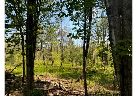 NY land for sale in Tug Hill area
