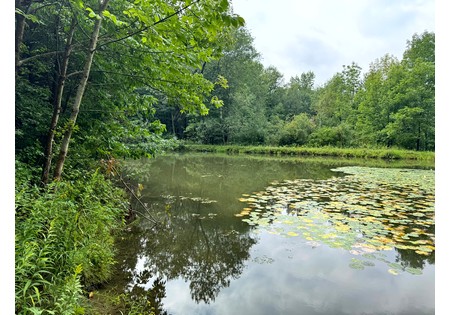 Finger Lakes NY land for sale