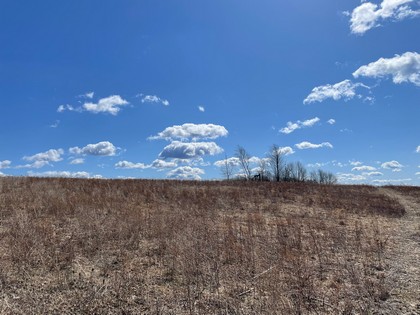 NY land for sale southern tier