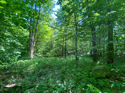 NY land for sale in Orwell NY state