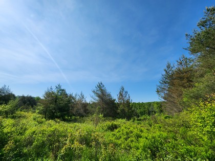 finger lake ny properties for sale