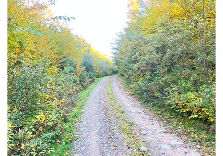 Tug Hill NY hunting land for sale