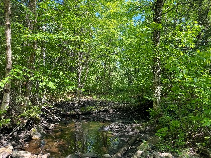 NY waterfront land for sale