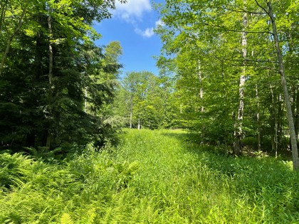 NY land for sale in Vienna NY