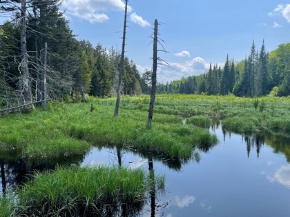 Adirondack land for sale NY