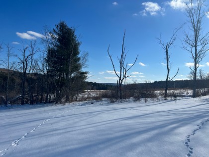 Catskill NY land for sale