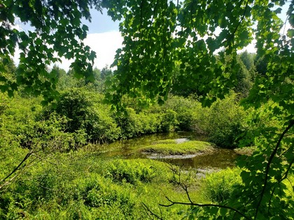 NY waterfront land for sale on Fish Creek