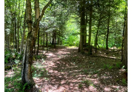 NY waterfront land for sale