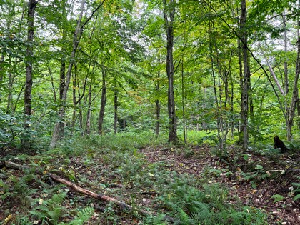 NY hunting land for sale