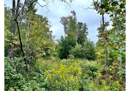 NY hunting land