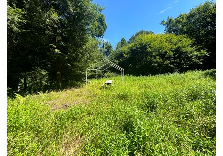 NY hunting land for sale