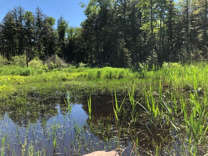 NY camp for sale in Camden NY