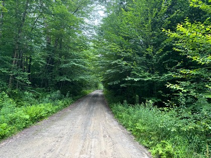 Tug Hill NY land for sale