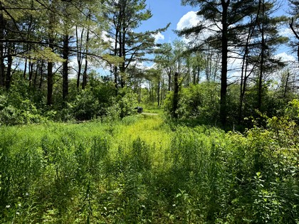 land for sale NY