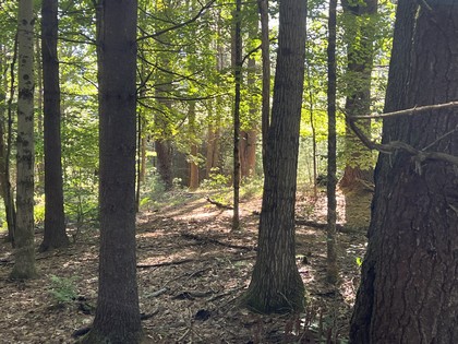 Land for sale near Oneida Lake NY