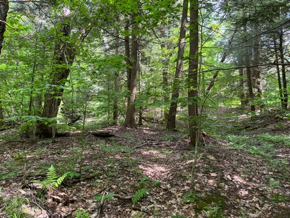 NY land for sale near Salmon River - Orwell, NY