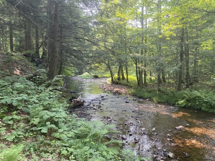NY waterfront land for sale