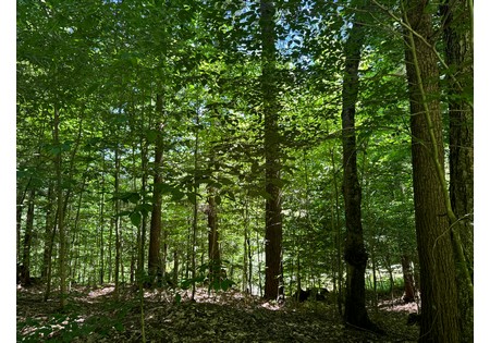 NY hunting land for sale