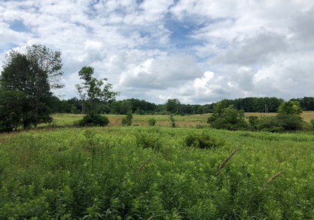 NY land for sale with town road power, florence New York