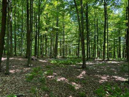 NY land for sale